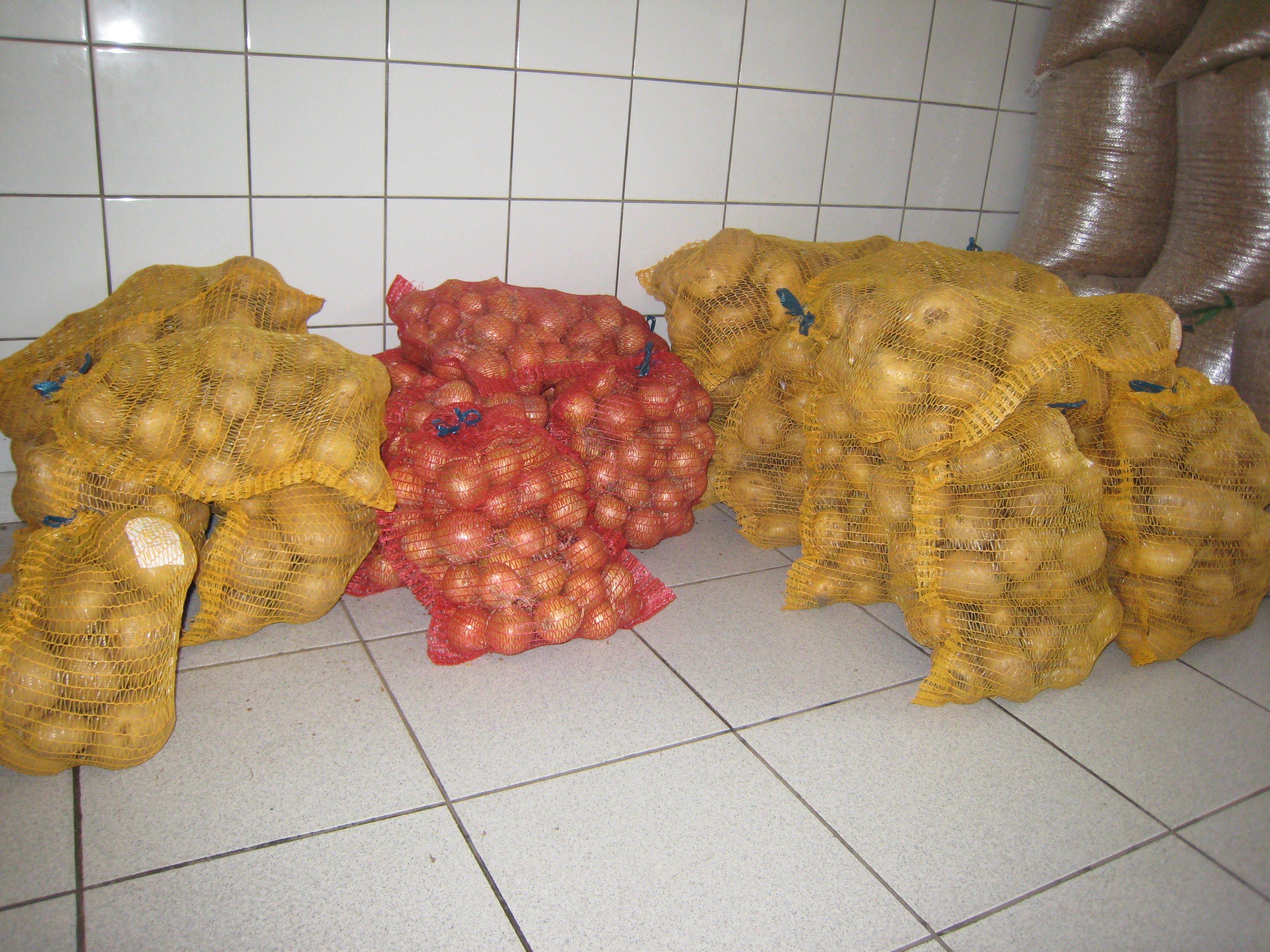 image pomme de terre