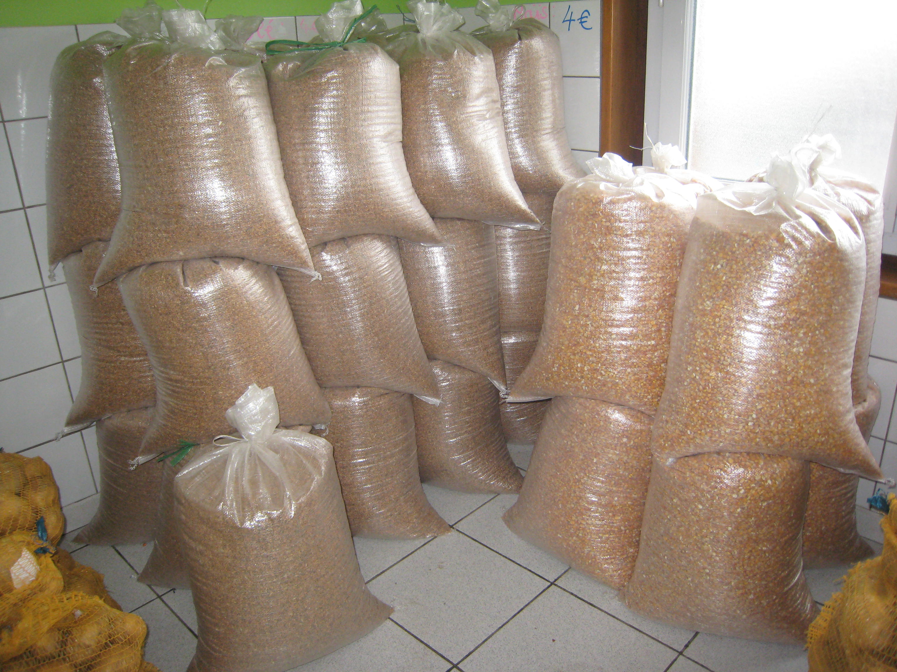image blé