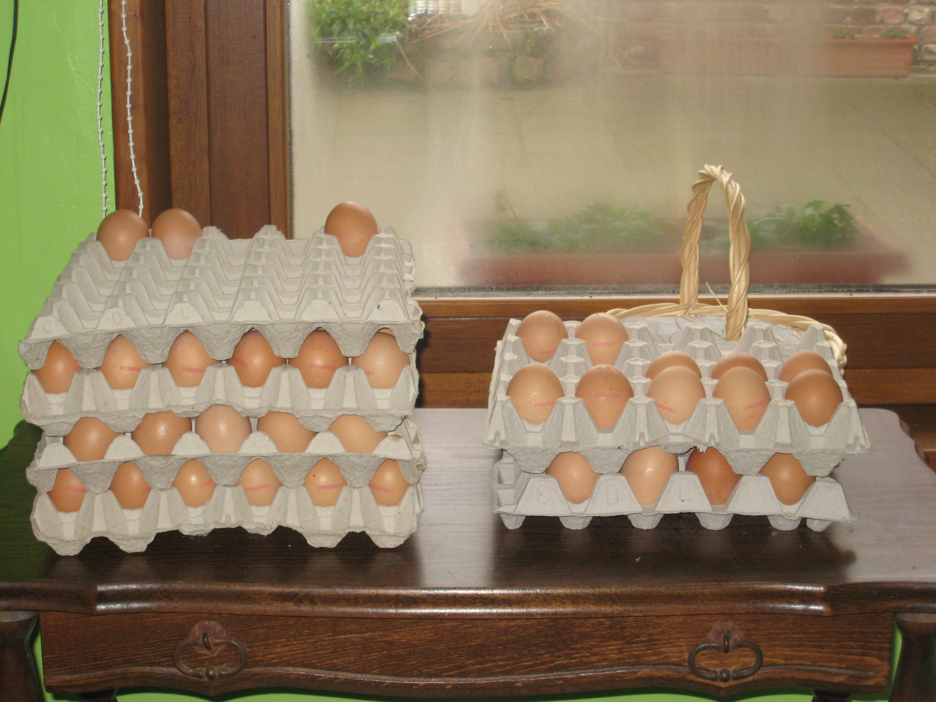 image de la ferme